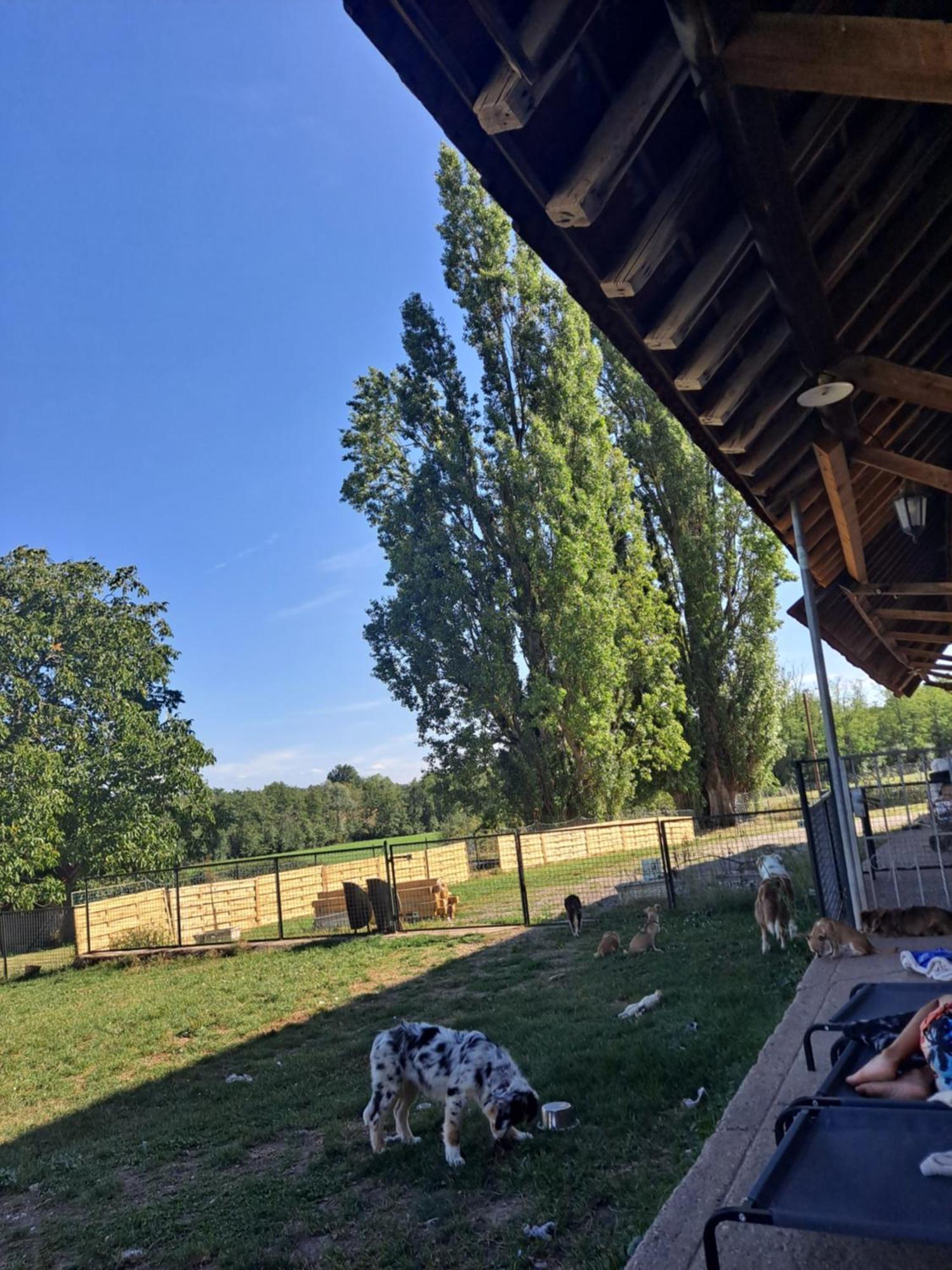Apartmán Les Lutins Reveurs Montagny-pres-Louhans Exteriér fotografie